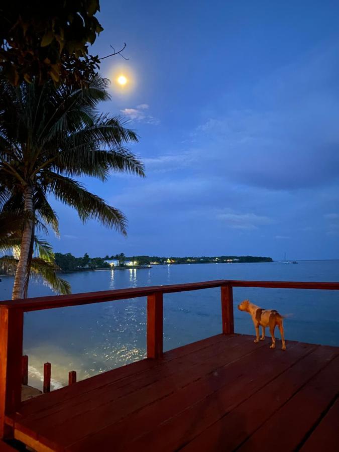Las Palmeras Oceanview Hotel And Dive Center Little Corn Island Esterno foto