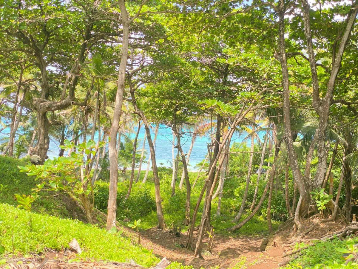 Las Palmeras Oceanview Hotel And Dive Center Little Corn Island Esterno foto