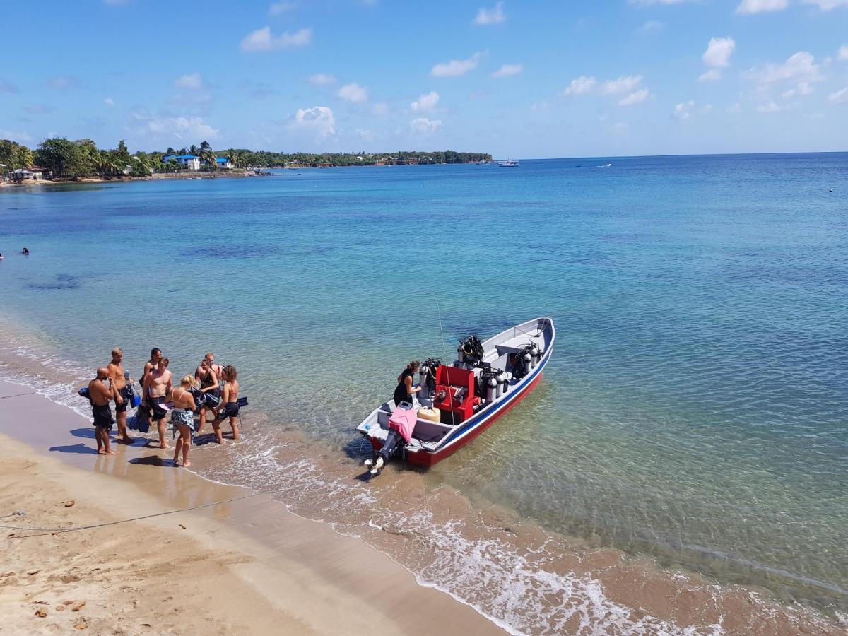 Las Palmeras Oceanview Hotel And Dive Center Little Corn Island Esterno foto