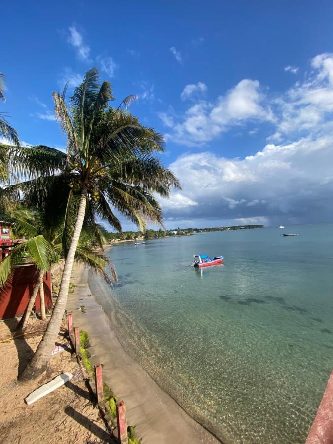 Las Palmeras Oceanview Hotel And Dive Center Little Corn Island Esterno foto