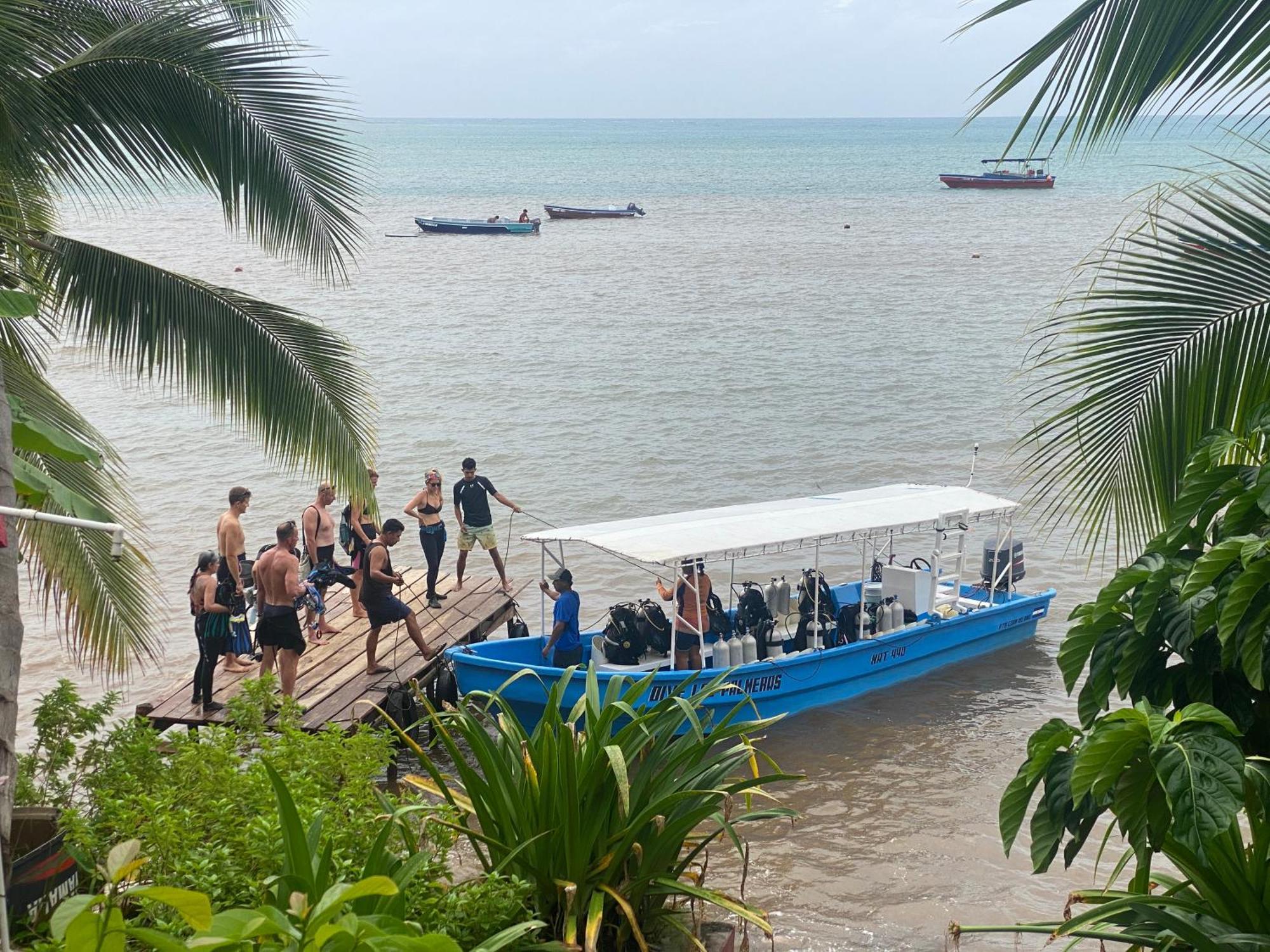 Las Palmeras Oceanview Hotel And Dive Center Little Corn Island Esterno foto