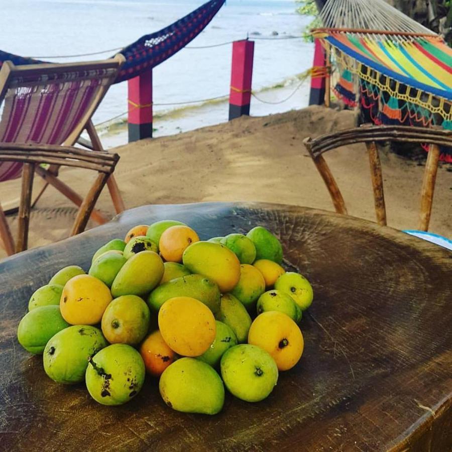 Las Palmeras Oceanview Hotel And Dive Center Little Corn Island Esterno foto